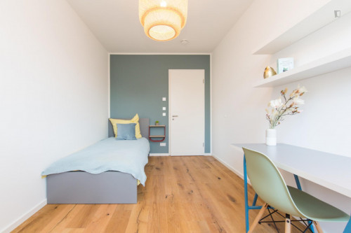 Single bedroom in 4-bedroom apartment