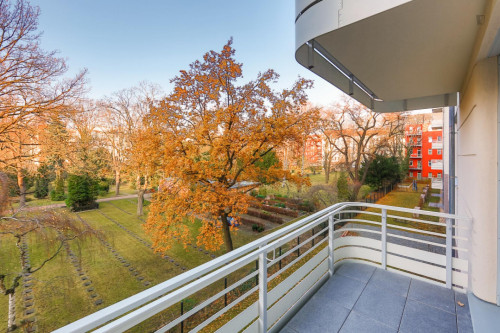 Double bedroom in 4-bedroom apartment  - Gallery -  5