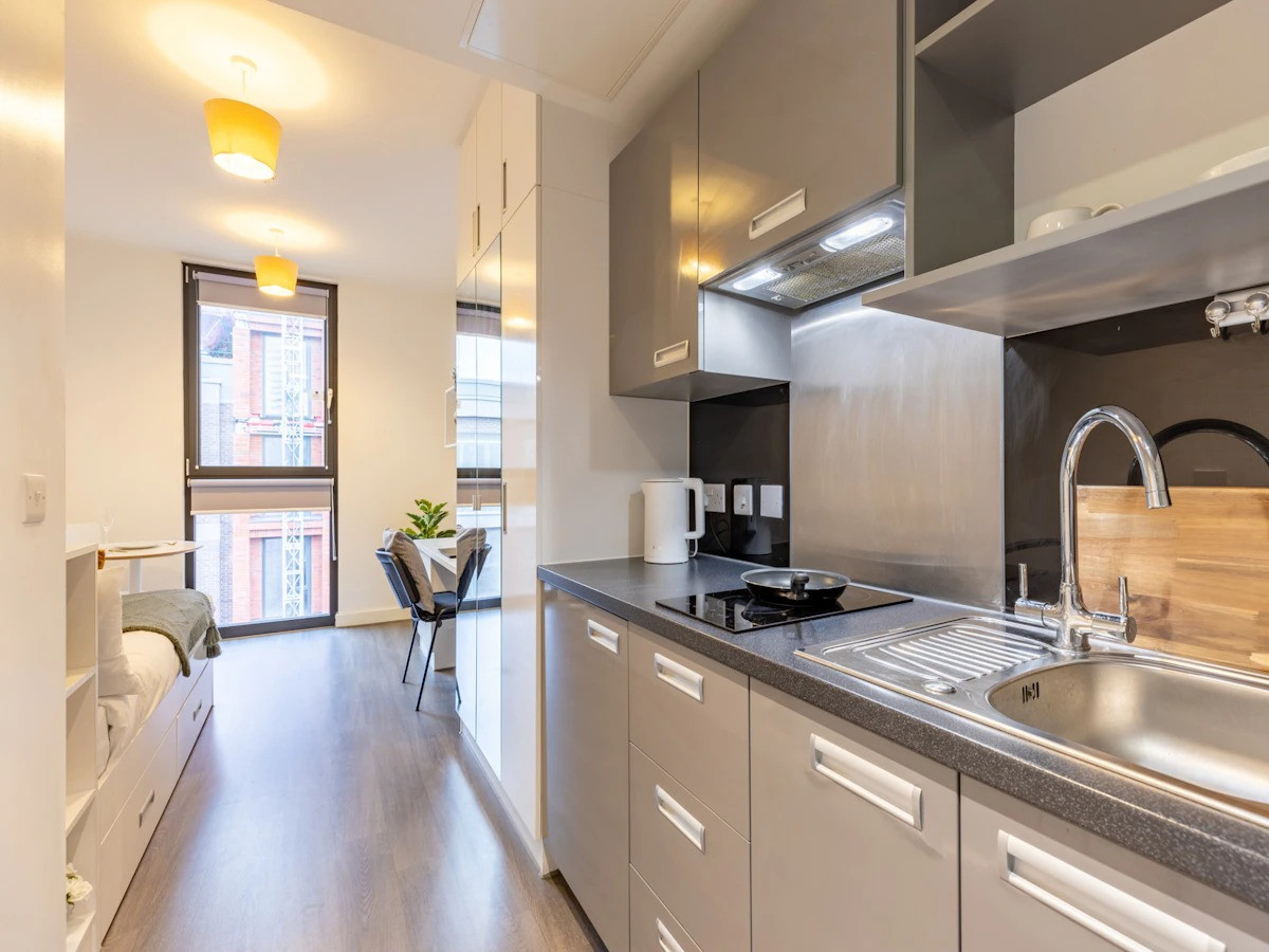  Premium Plus Studio  -  88 Bromsgrove House  - Gallery -  5