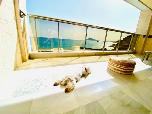 Calle Currica, Altea - Gallery - 13