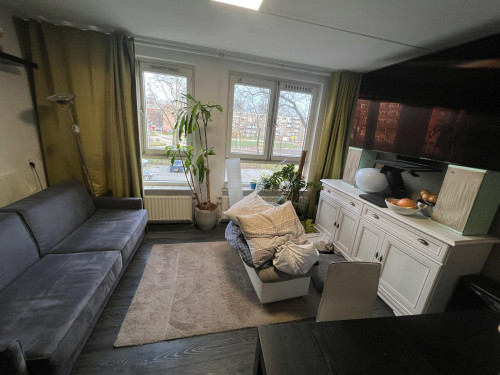 Willem Beukelsstraat, Amsterdam - Gallery - 7