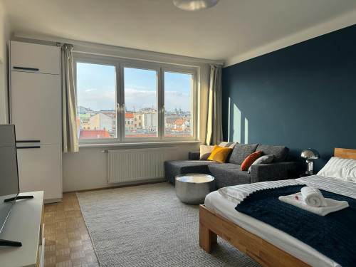 Schönbrunner Straße, Vienna