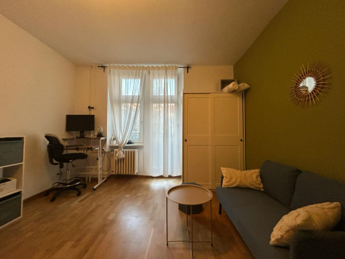 Sprengelstraße, Berlin