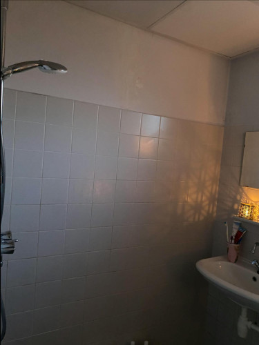 Wiltzanghlaan, Amsterdam  - Gallery -  5