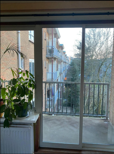 Wiltzanghlaan, Amsterdam