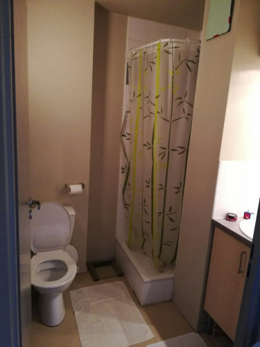 Boulevard de Strasbourg, Lille