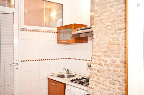 1-Bedroom apartment in the heart of Trastevere  - Gallery -  5