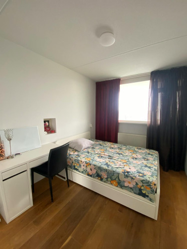 Fleerde, Amsterdam  - Gallery -  5