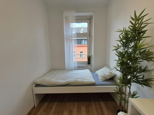 Waldgasse, Vienna  - Gallery -  2