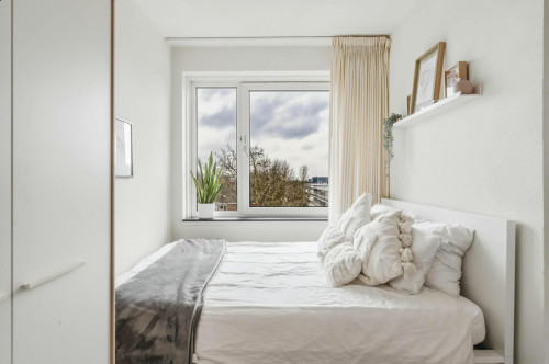 Van Nijenrodeweg, Amsterdam - Gallery - 7
