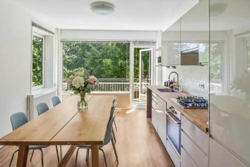 Van Nijenrodeweg, Amsterdam - Gallery - 5
