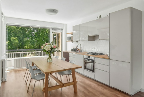 Van Nijenrodeweg, Amsterdam