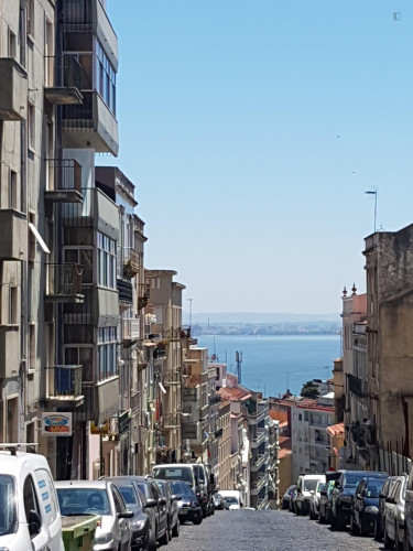 Great apartment in well-connected Santa Apolónia - Gallery - 6