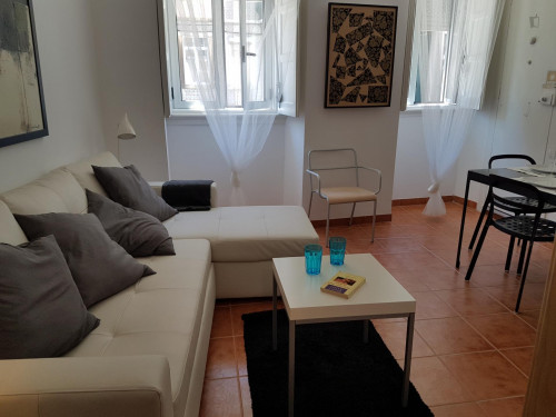Great apartment in well-connected Santa Apolónia