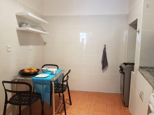 Great apartment in well-connected Santa Apolónia