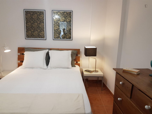 Great apartment in well-connected Santa Apolónia