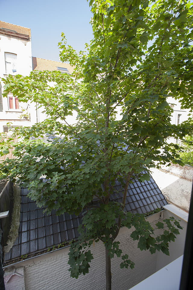  Pocket Room With Shared Bathroom  -  Charming Coliving House in Peaceful Colignon: Embrace Brussels' Hidden Gem  - Gallery -  33
