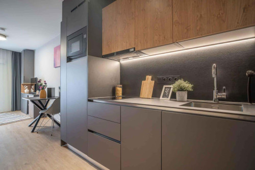 Apartment in Gürtelstraße, Berlin for 27 m²