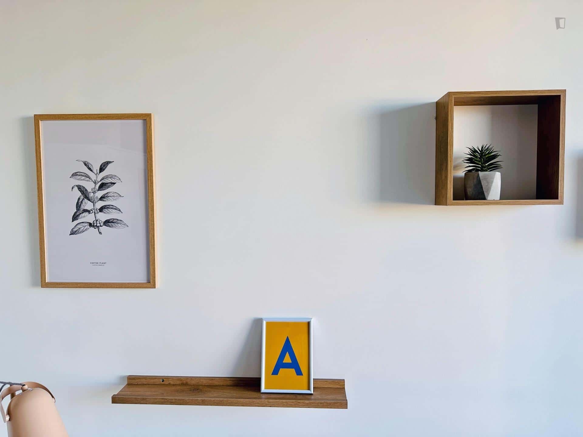  Single Room - 2  -  Rue Oscar et Jean Auriac, Bordeaux  - Gallery -  7