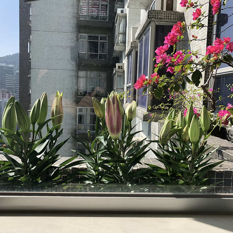 Large Deluxe (bedroom 03) - Vibrant Coliving Apartment in Kennedy Town with Community Events & Amenities Home - Gallery - 3