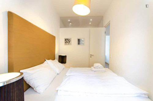 Elegant 1 Bedroom Apartment close to Wien Westbahnhof Train Station
