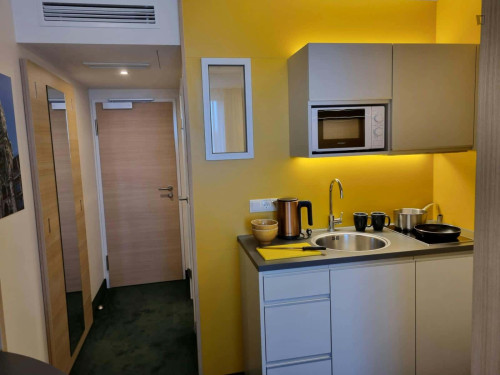 Apartment in Lindwurmstraße, München for 18 m² - Gallery - 9