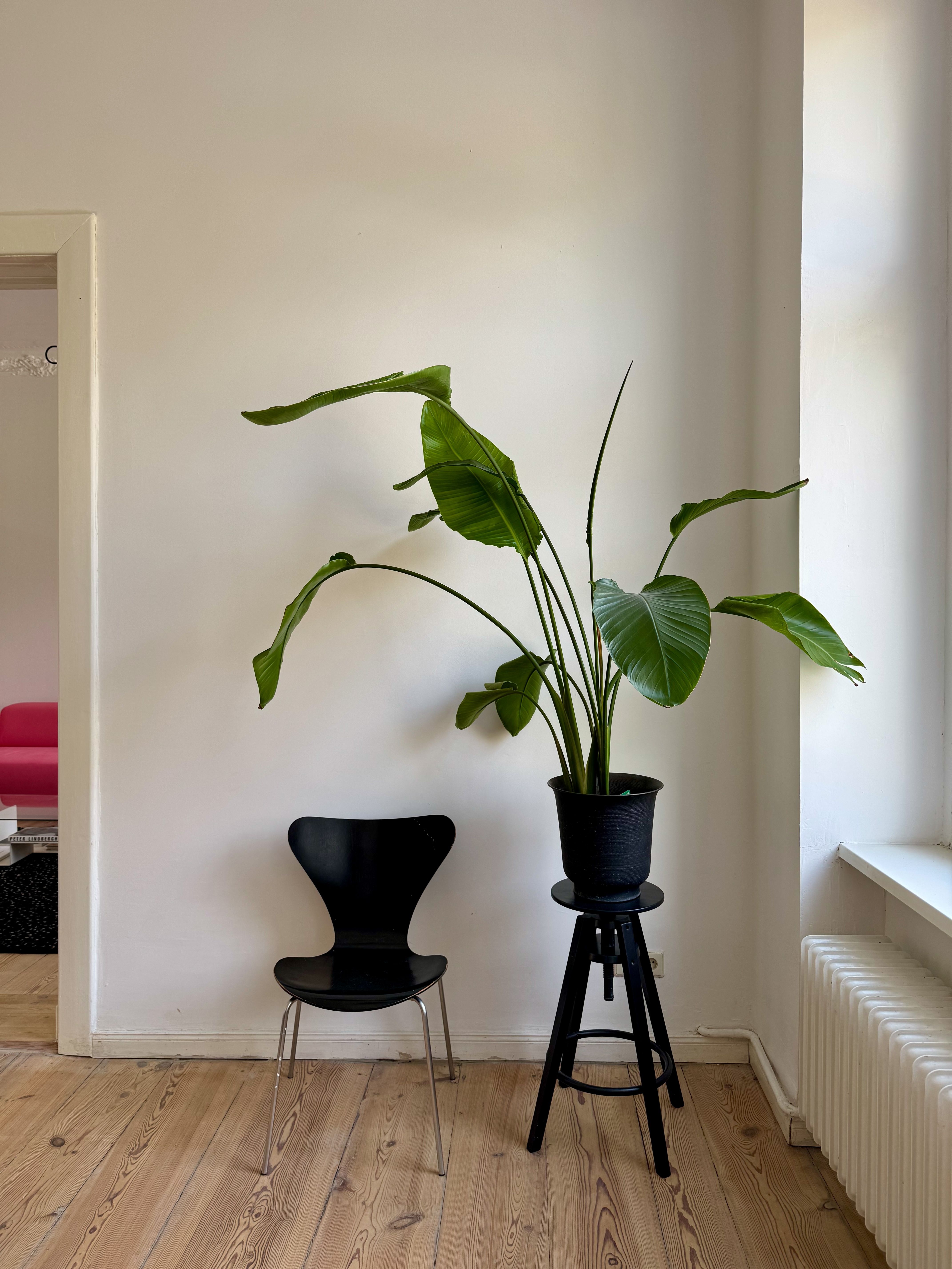 Beautiful And Spacious Altbau Wohnung Close By The Lively Potsdamerstraße - Beautiful and spacious Altbau Wohnung close by the lively Potsdamerstraße - Gallery - 48