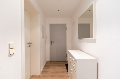 sunny, calm, perfectly equipped - Studio