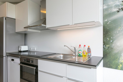 Nice, bright and gorgeous flat in München - Gallery - 9
