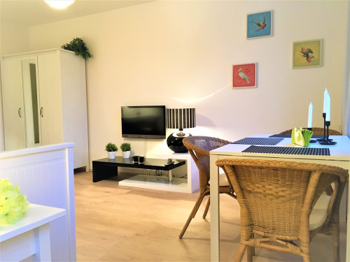 Charming and bright home next to Zoopark  - Gallery -  5