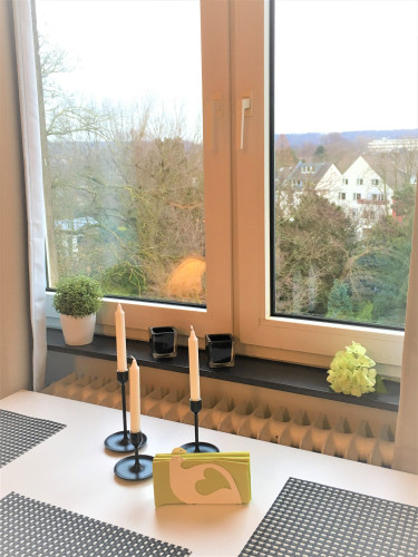 Charming and bright home next to Zoopark