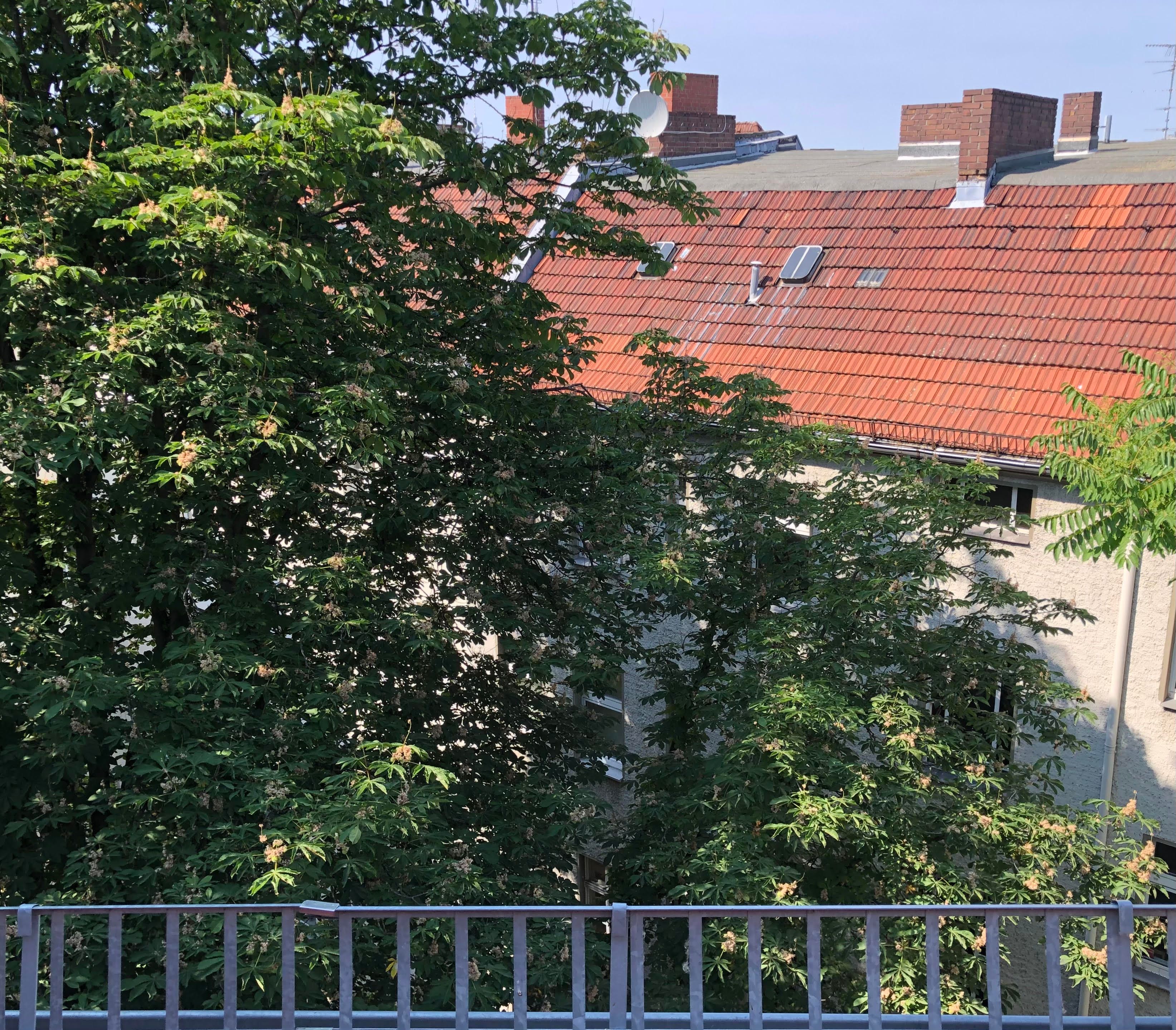  Feel At Home In This Modern Rooftop Apartment With Roof Terrace In The Heart Of Vibrant, Up-And-Comi  -  Feel at home in this modern rooftop apartment with roof terrace in the heart of vibrant, up-and-coming Neukölln.  - Gallery -  6