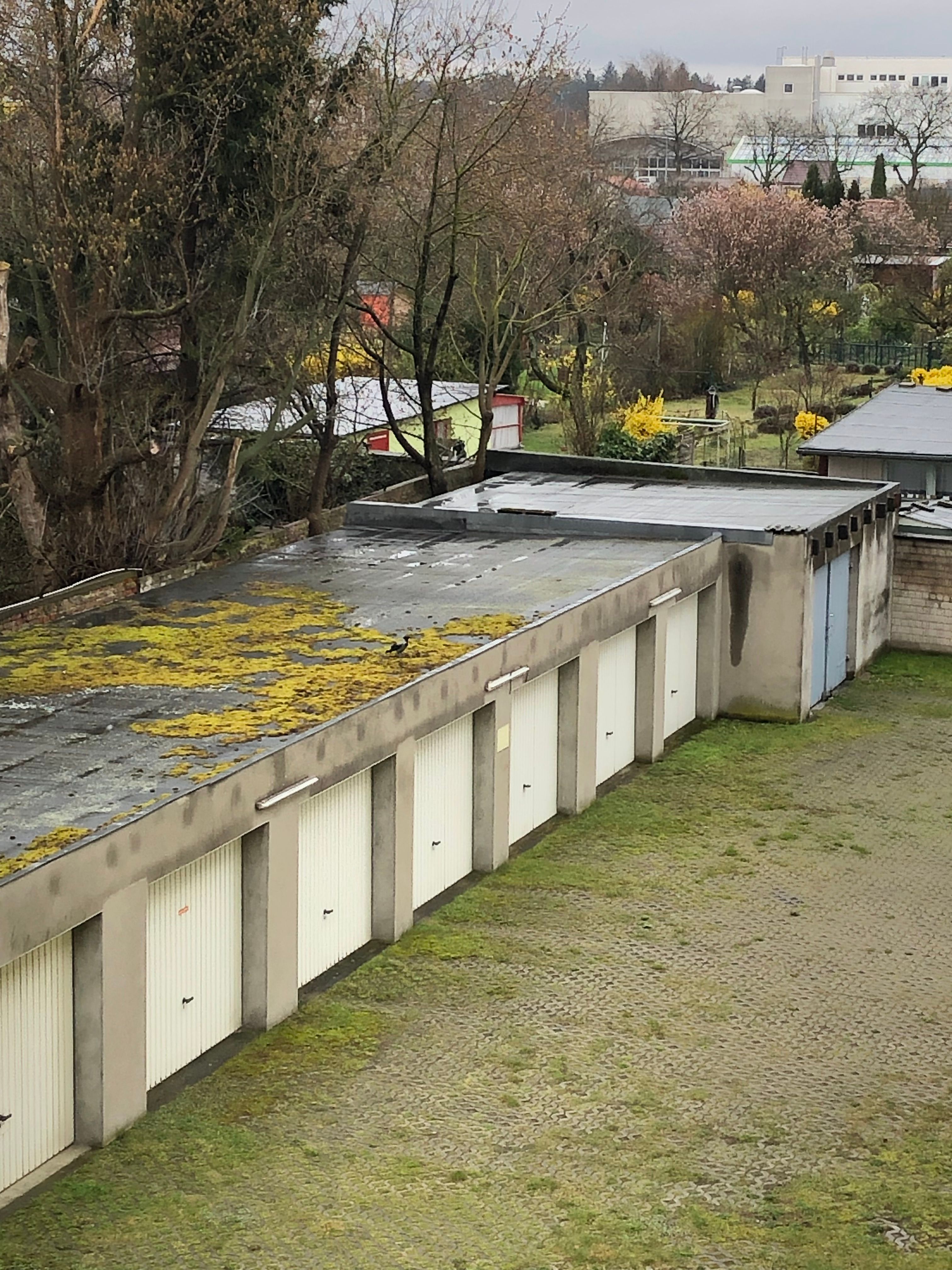  Fantastic & Fashionable Loft Close To Park  -  Fantastic & fashionable loft close to park  - Gallery -  29