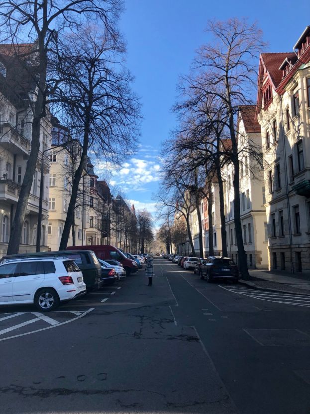 Luxurious Quiet Apartment With Balcony In The Center Of Leipzig - Luxurious quiet apartment with balcony in the center of Leipzig - Gallery - 2