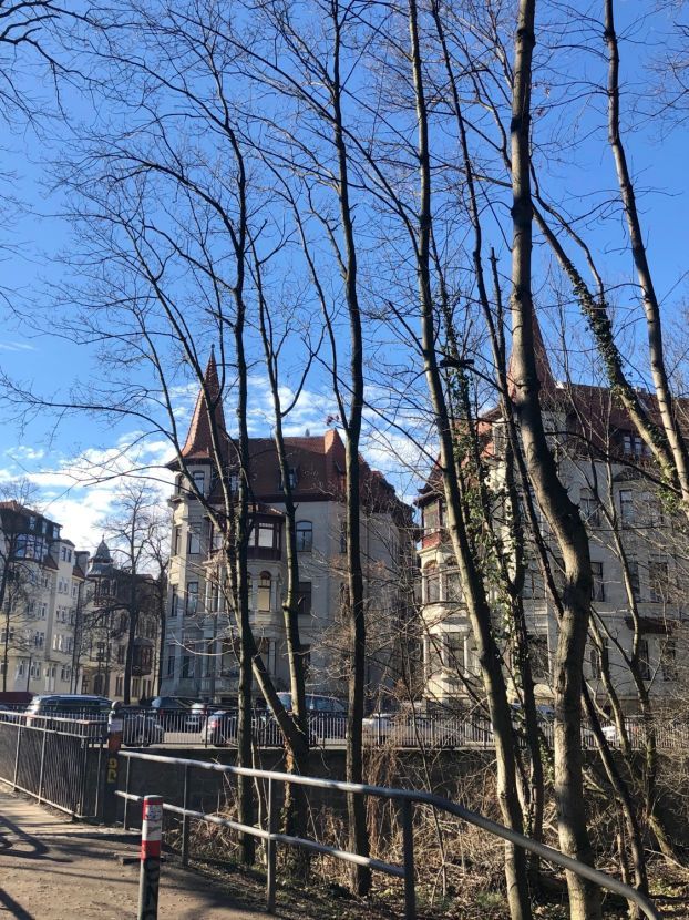 Luxurious Quiet Apartment With Balcony In The Center Of Leipzig - Luxurious quiet apartment with balcony in the center of Leipzig - Gallery - 3