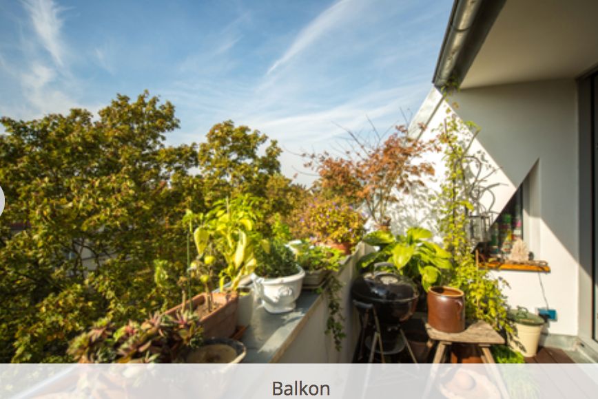  The Sunny Side Of Life (Berlin-Pankow)  -  The Sunny side of Life (Berlin-Pankow)  - Gallery -  22