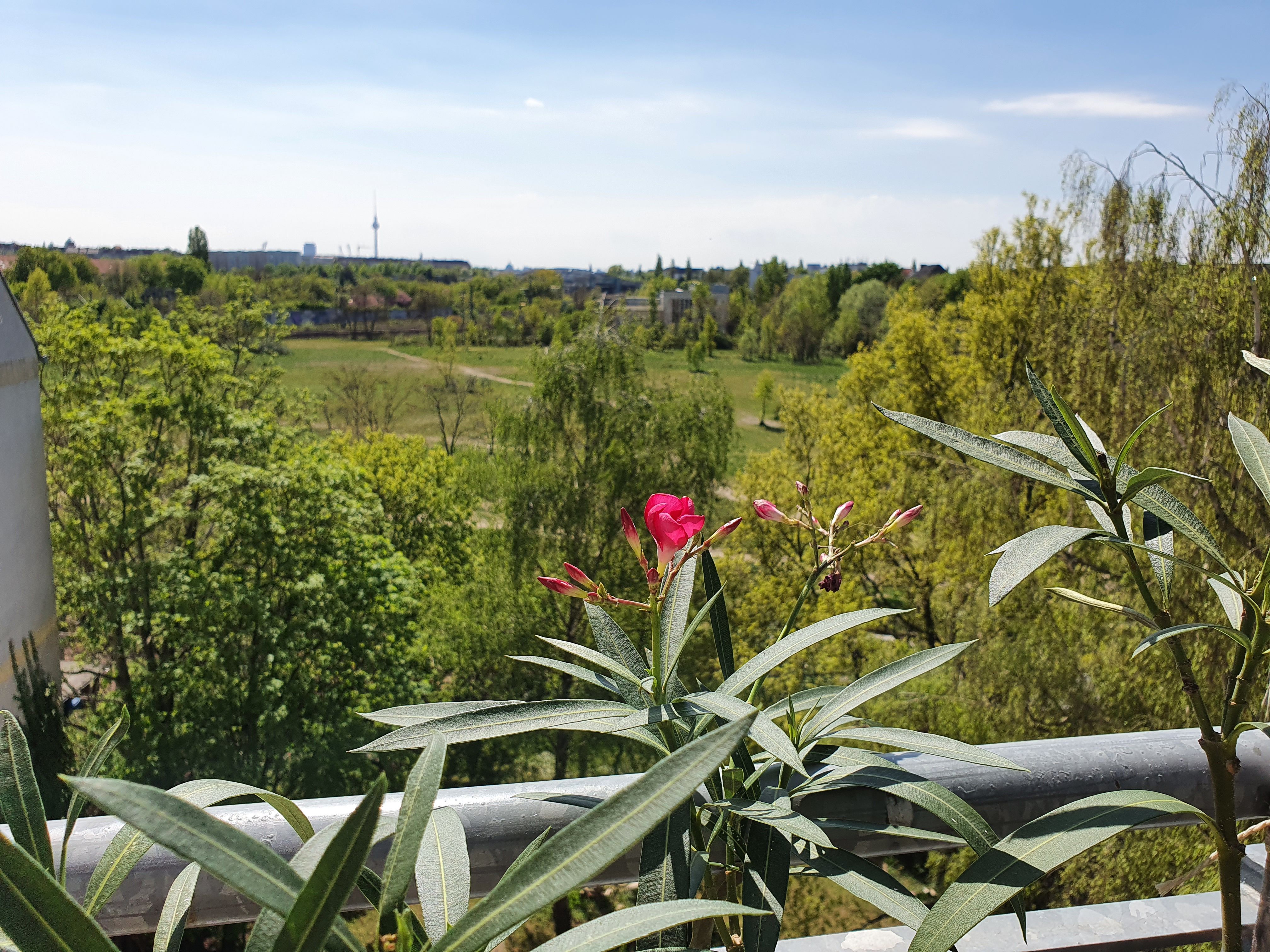  Wonderful 4 Rooms Apartment With Roof-Top View Over Berlin  -  Wonderful 4 Rooms Apartment with Roof-top View over Berlin  - Gallery -  11