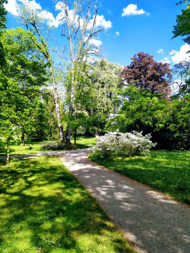 Quiet, awesome flat in Baden-Baden