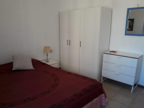 Double bedroom in 4-bedroom apartment