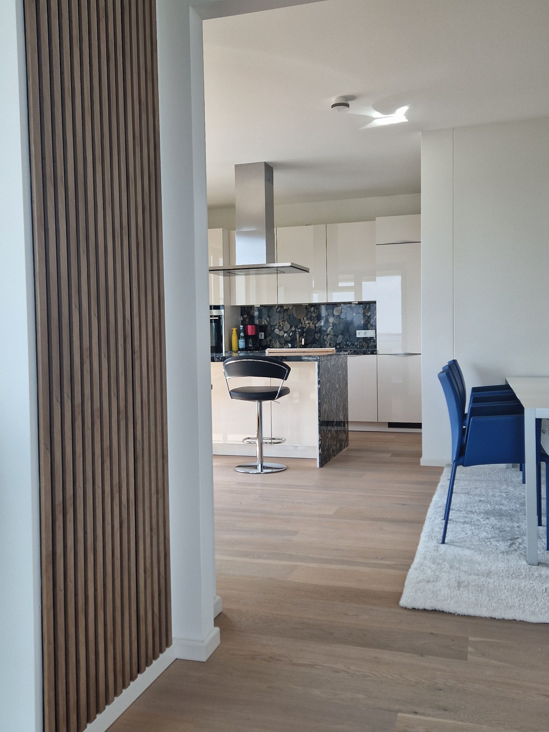  Luxurious & Furnished Apartment With Panoramic View Over Düsseldorf-City  -  Luxurious & Furnished Apartment with panoramic view over Düsseldorf-City  - Gallery -  27