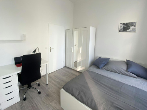 Große Stadtgutgasse, Vienna