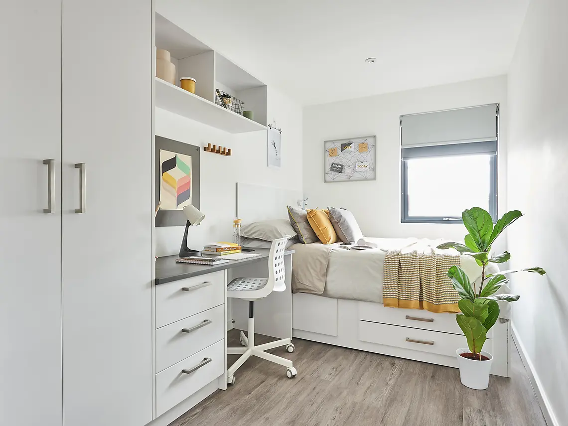  6 Bed Cluster En-Suite – Premium  -  The City Arcade  - Gallery -  1
