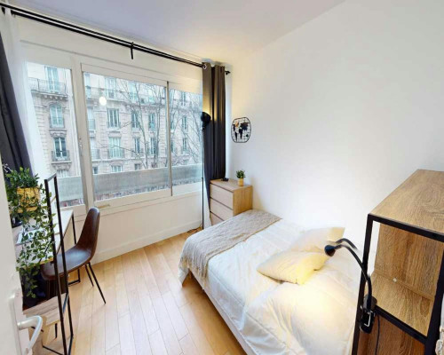 Rue de Vouillé, Paris