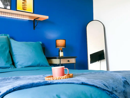 Rue Émile Guyou, Toulouse