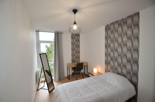 Avenue Paul Santy, Lyon