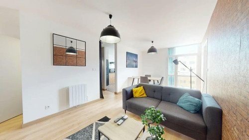 Avenue Paul Santy, Lyon