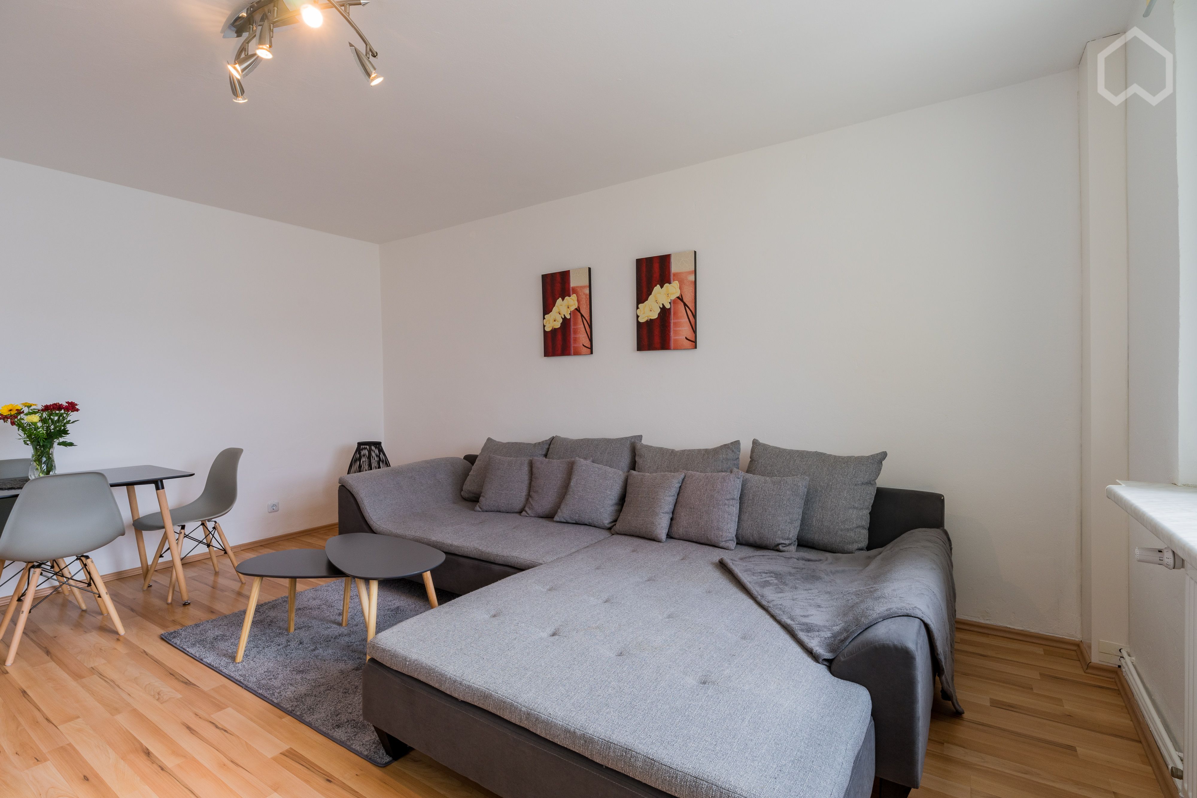  Beautiful Bright Apartment With Balcony  -  Beautiful bright apartment with balcony  - Gallery -  22