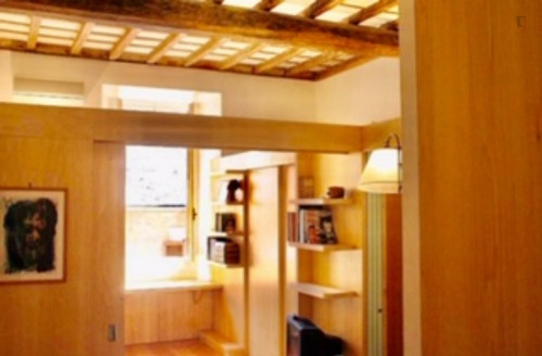 1-Bedroom apartment between Campo de Fiori and Piazza Argentina  - Gallery -  5