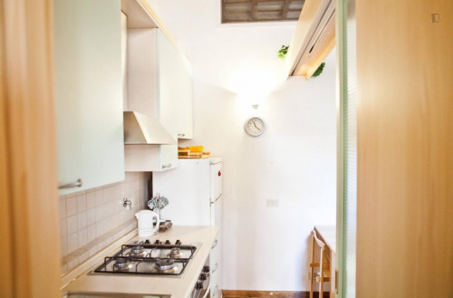 1-Bedroom apartment between Campo de Fiori and Piazza Argentina - Gallery - 7