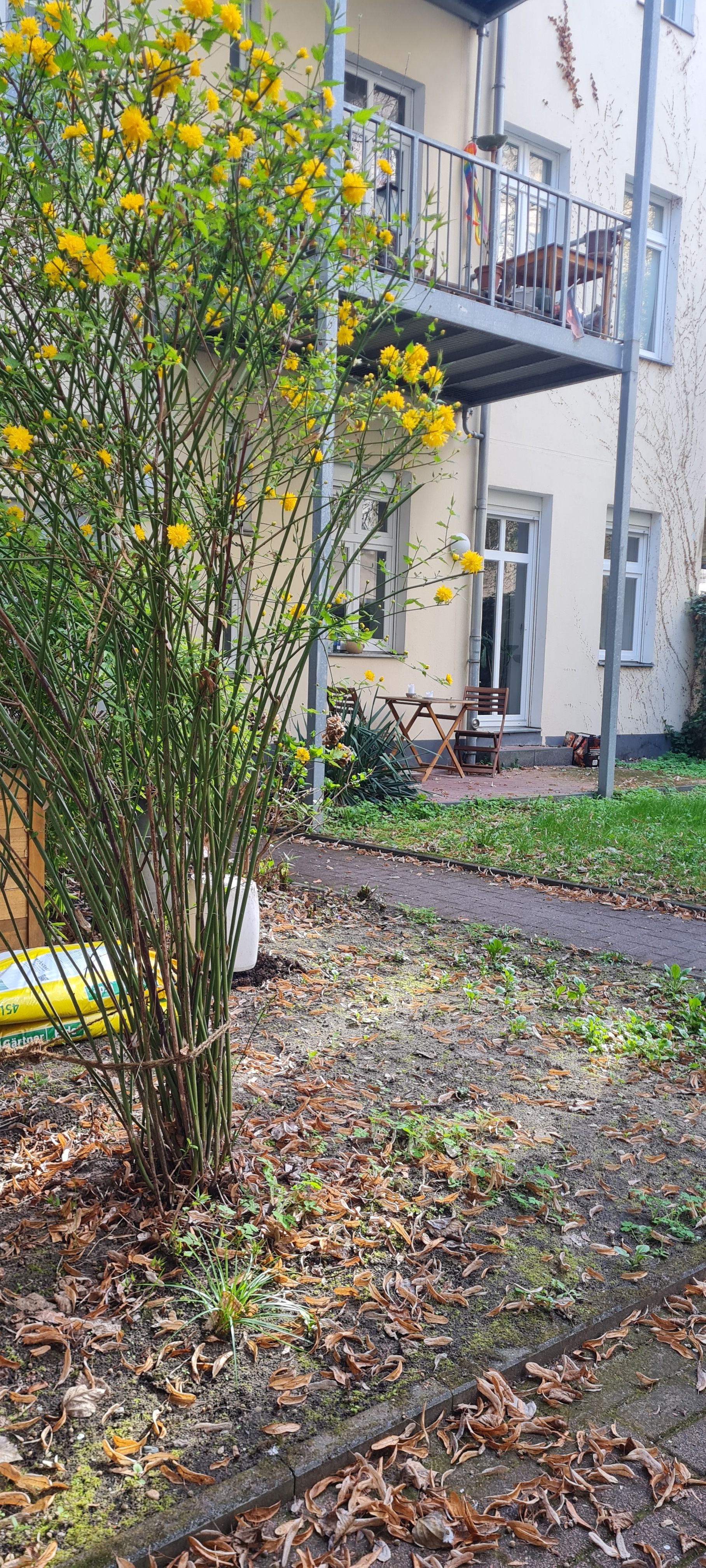  Quiet & Furnished Room In Prime Friedrichshain Location  -  Quiet & Furnished Room in Prime Friedrichshain Location  - Gallery -  12